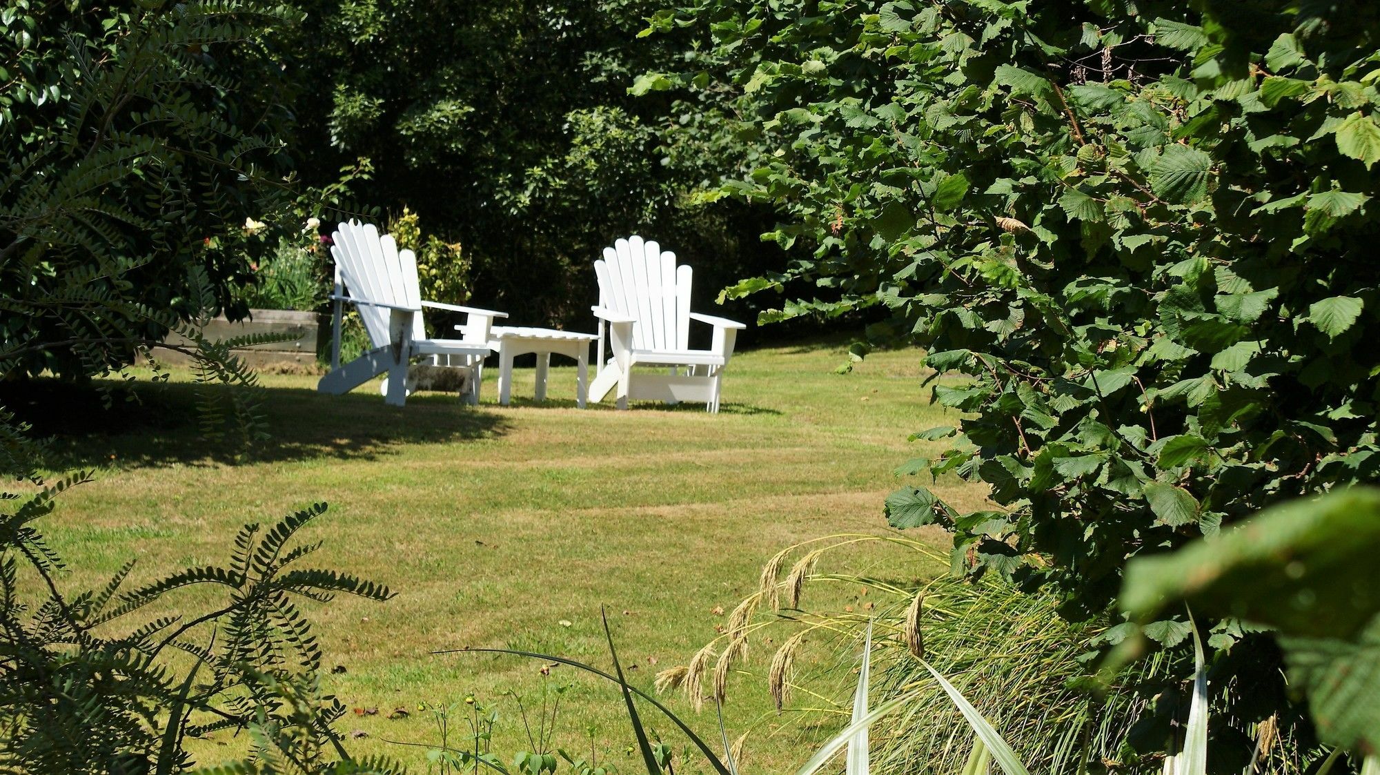 Chalet Eiger Villa Taupo Exterior photo